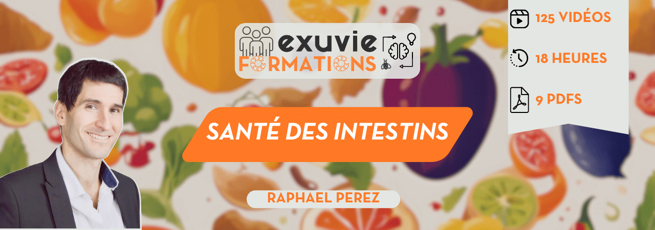 Cursus santé des intestins